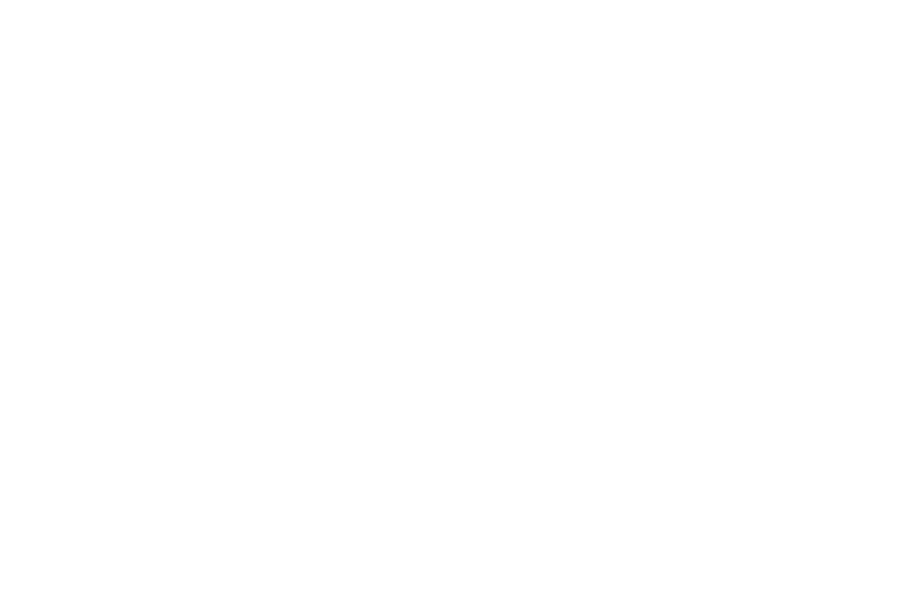 Falcomex